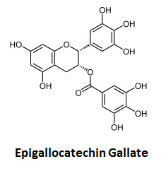 http://curezone.com/upload/_C_Forums/Candida/acetaldehyde_/epigallocatechin_gallate.jpg