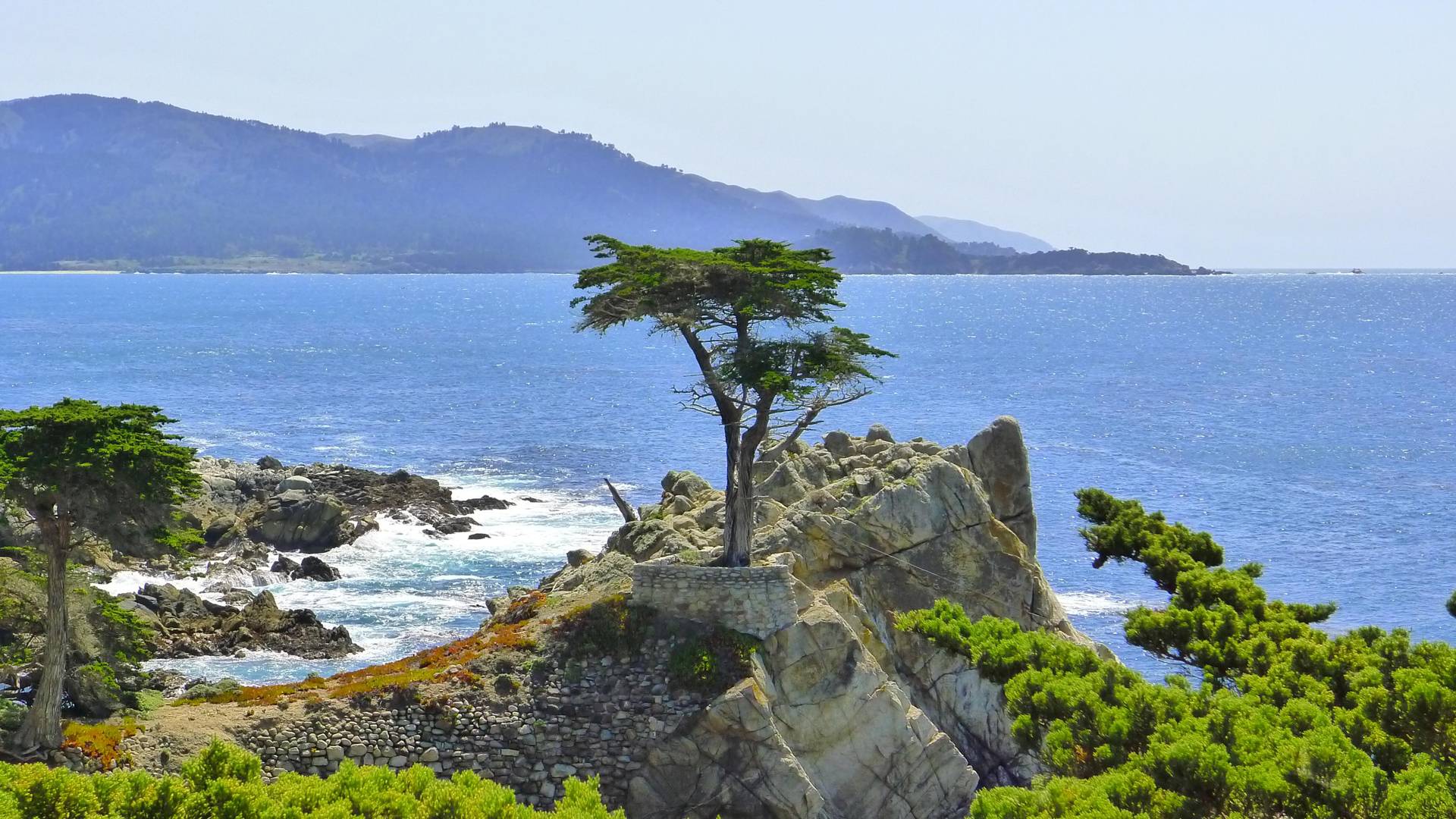 Image result for 17 mile drive pictures