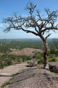 The view from the Enchanted Rock dome