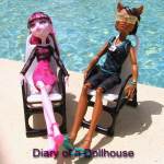 Clawd Wolf and Draculaura Music Festival Dolls