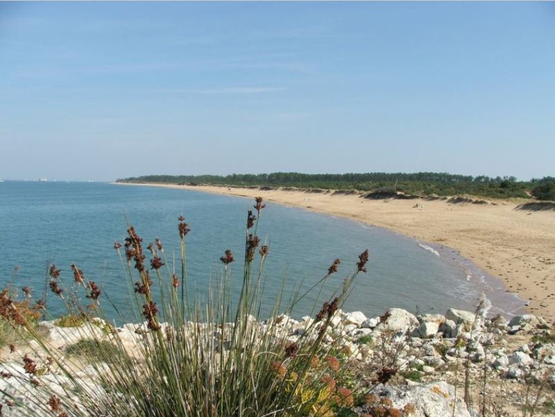 plage-de-sable-fin.jpg