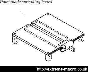 Insect Setting Board