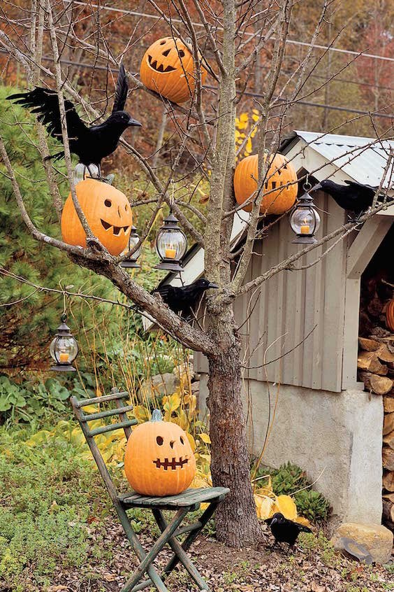 Outdoor Halloween Decorations