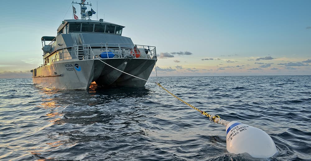 A boat tied off to a mooring buoy in the sanctuary