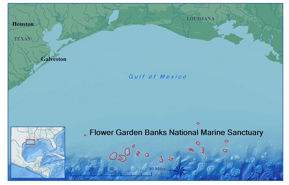 Atlas map of the sanctuary.