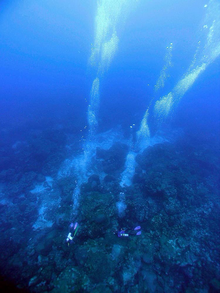 Overhead view of divers swimming just a coral reef.