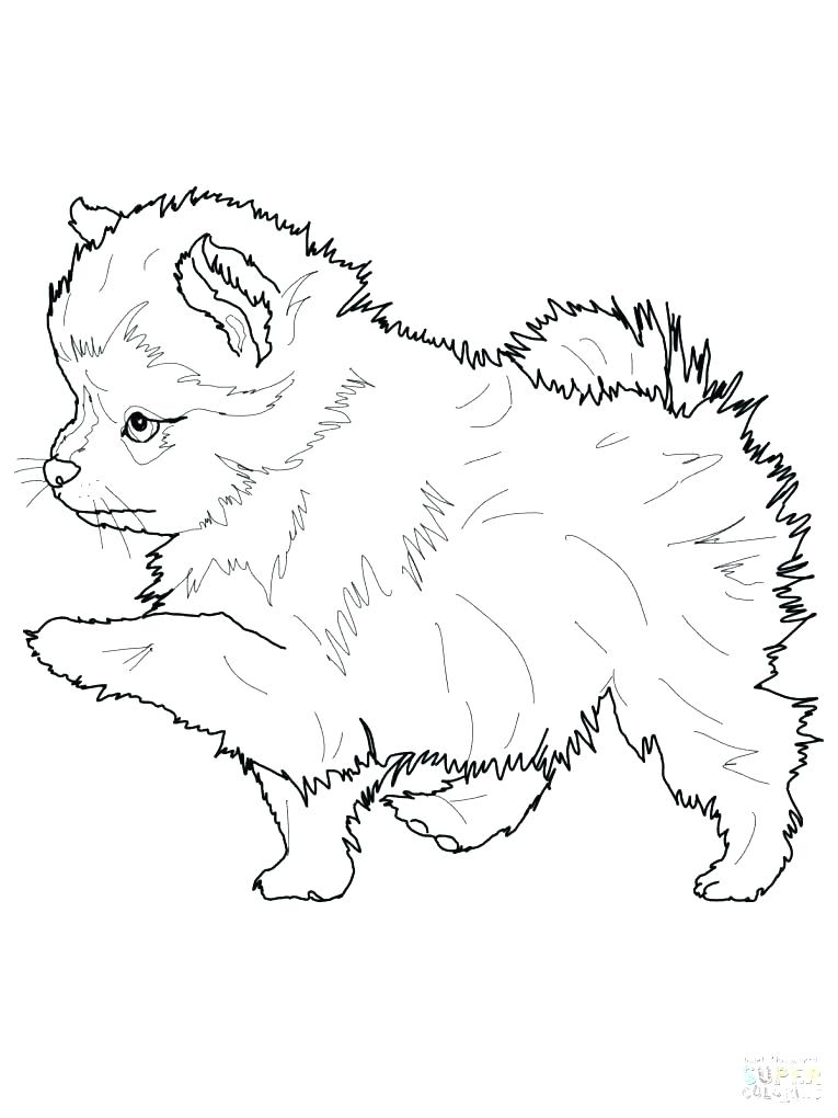 baby-husky-puppy-coloring-page-coloring-pages