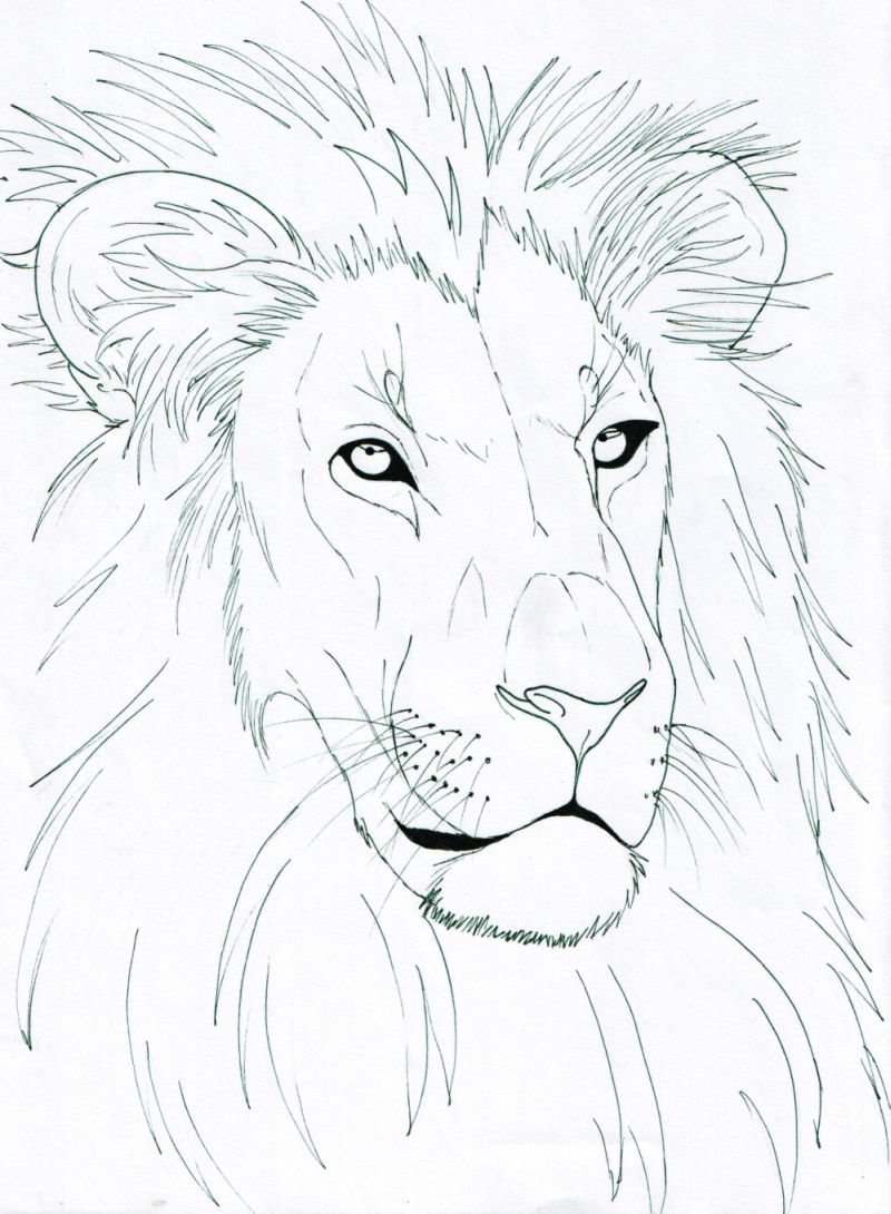 Simple Lion Head Drawing at GetDrawings | Free download