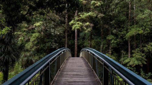 Forest Bridge Wallpaper