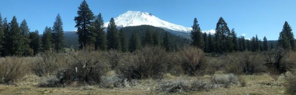 High Desert Natural History