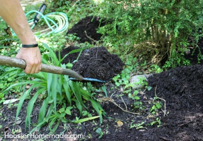 How to apply mulch