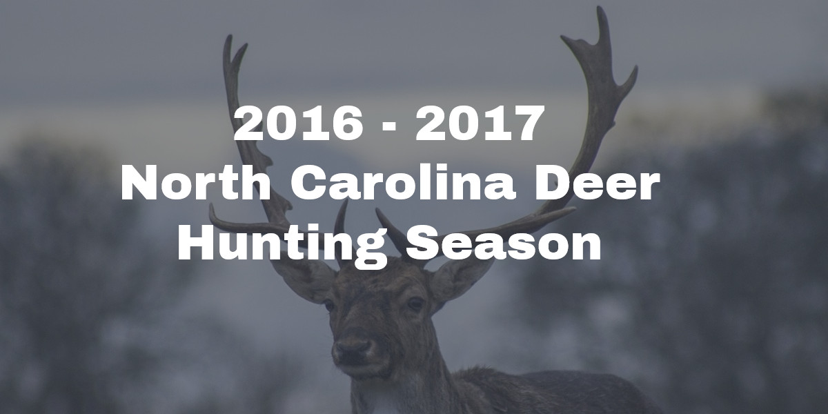 Deer Season 2024 North Carolina Belvia Bellanca