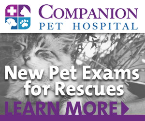 Companion Pet Hospital