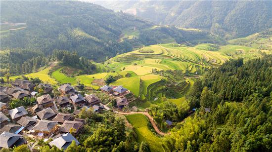 Picturesque terraced fields in Guizhou