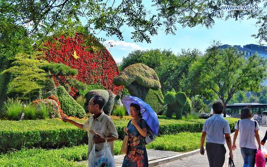 Parterres set up in Beijing to receive upcoming FOCAC summit