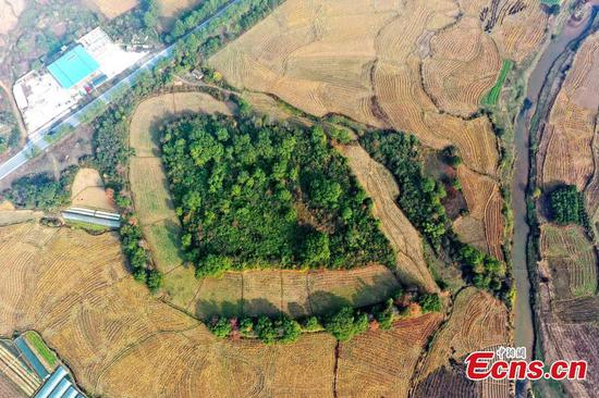 5,000-year-old settlement with moat found in east China