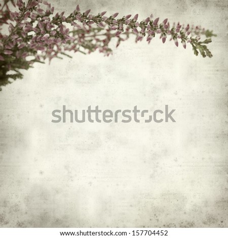 textured old paper background with heather