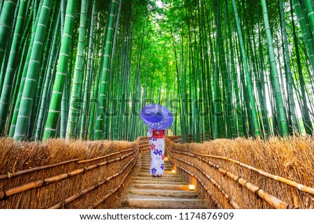 Bamboo Forest. Asian woman wearing japanese traditional kimono at Bamboo Forest in Kyoto, Japan.