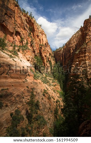 Observation Point - Zion National Park, Utah