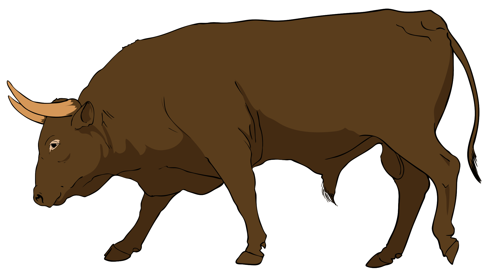 bull%20clipart