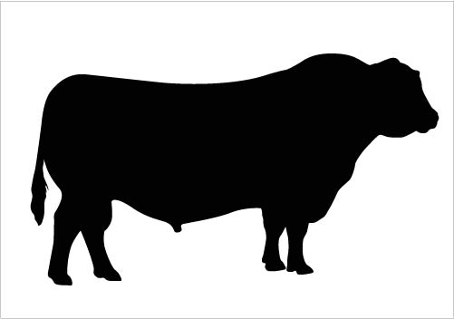 bull%20clipart