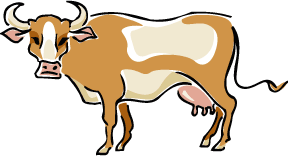 bull%20clipart