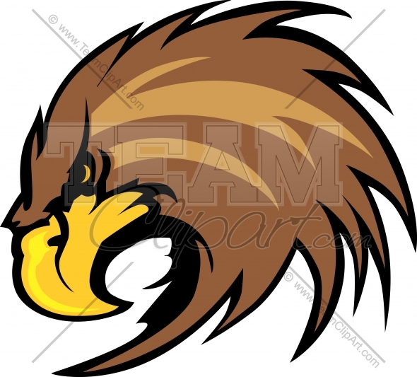 Falcon Clip Art