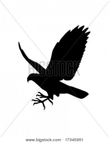 Falcon Clip Art