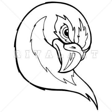 Falcon Clip Art