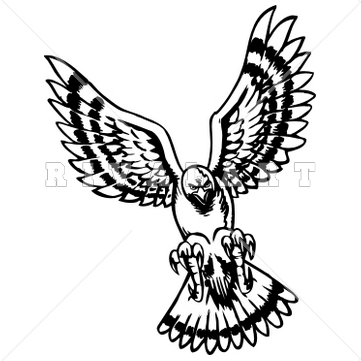 Falcon Clip Art