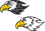 Falcon Clip Art