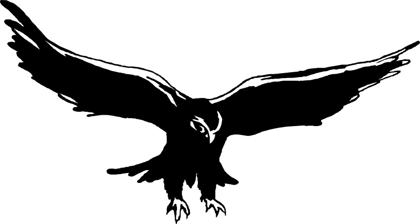 Falcon Clip Art