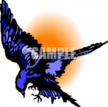 Falcon Clip Art