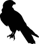 Falcon Clip Art