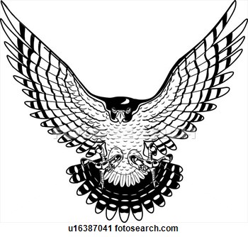 Falcon Clip Art