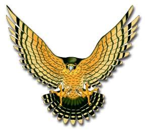 Falcon Clip Art