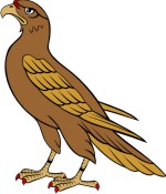 Falcon Clipart