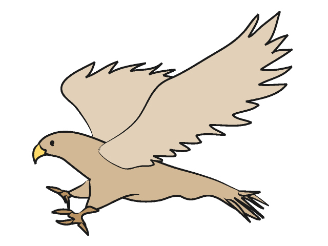 Falcon Clipart