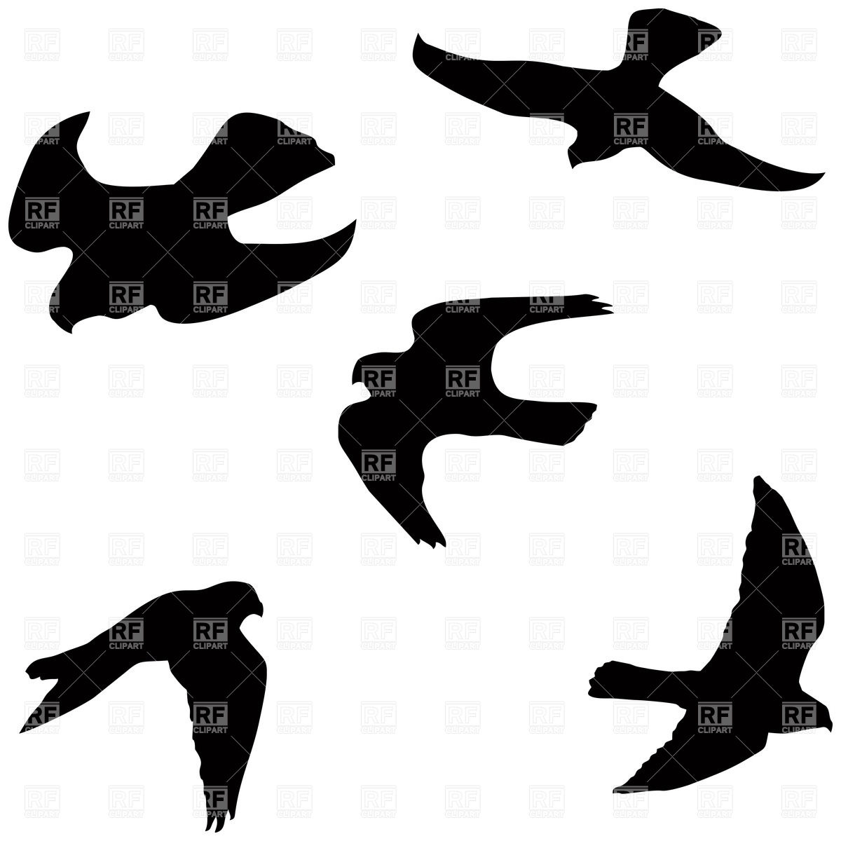 Falcon Clipart