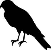 Falcon Clipart