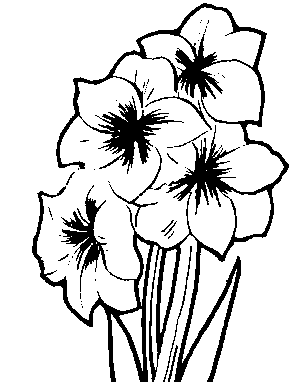 Flowers Clip Art