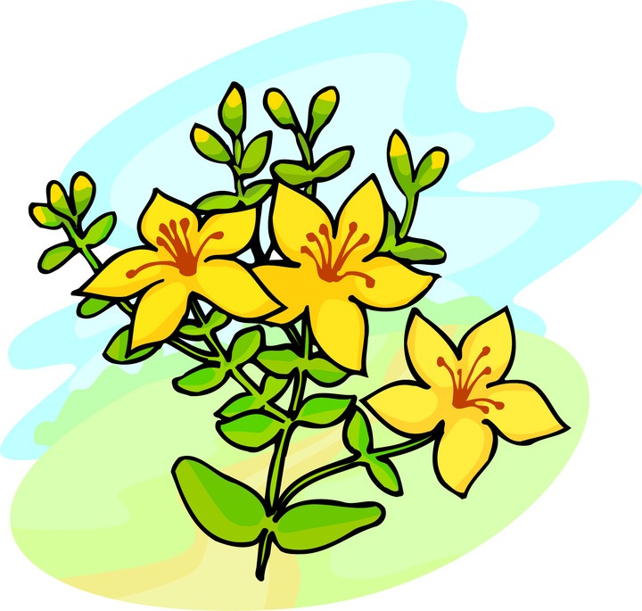 flowers clipart