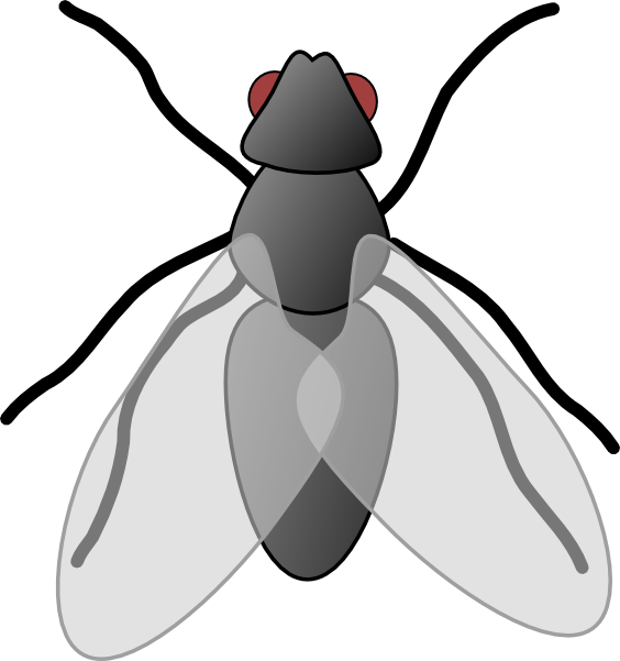 Fly Clip Art