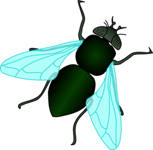 Fly Clip Art