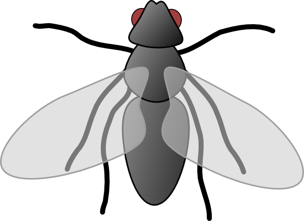 fly%20clipart