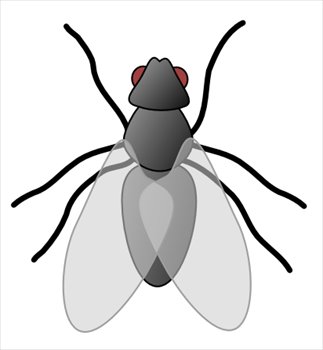 fly%20clipart