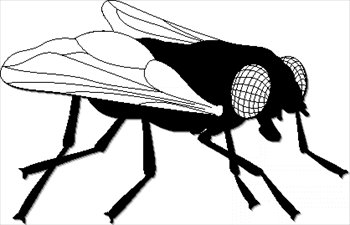 fly%20clipart