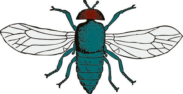 Fly Clipart