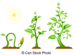 growth%20clipart