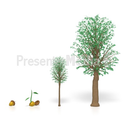 growth%20clipart